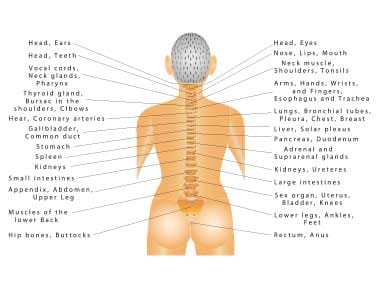 Top 6 Questions for Sunset Chiropractic and Wellness Doctors in Miami - What do you think is important for patients to know about chiropractic?