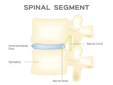 Top 6 Questions for Sunset Chiropractic and Wellness Doctors in Miami - Are there special devices used for the specific problems or it’s a complex program of all devices?