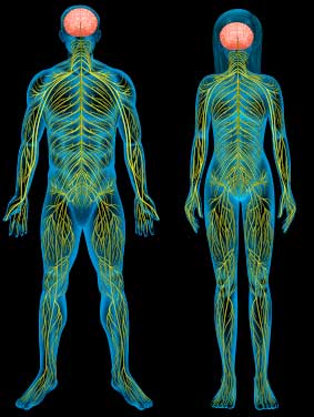 Top 6 Questions for Sunset Chiropractic and Wellness Doctors in Miami - How is the treatment selected by the doctors?