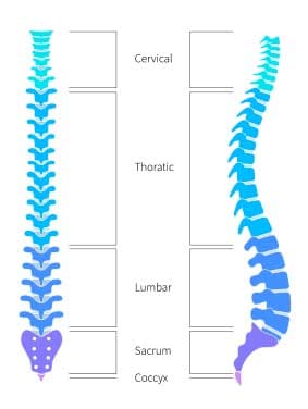 Top 6 Questions for Sunset Chiropractic and Wellness Doctors in Miami - What are the main conditions that you treat in your practice?